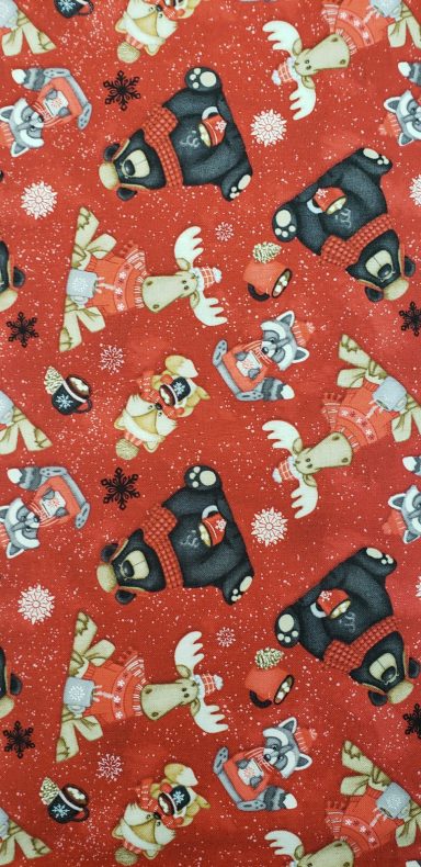 More Moose, Bears and Raccoons